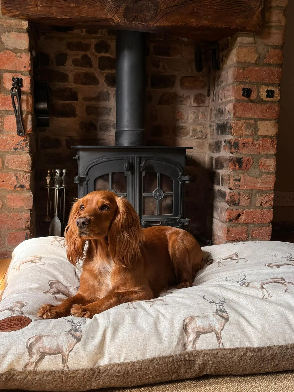 Moorland Stag Pet Lounger