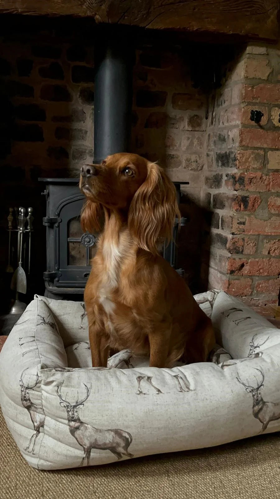 Moorland Stag Fleece Lined Dog Bed