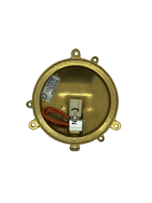 Mini Compass Guard Bulkhead Outdoor Wall Light