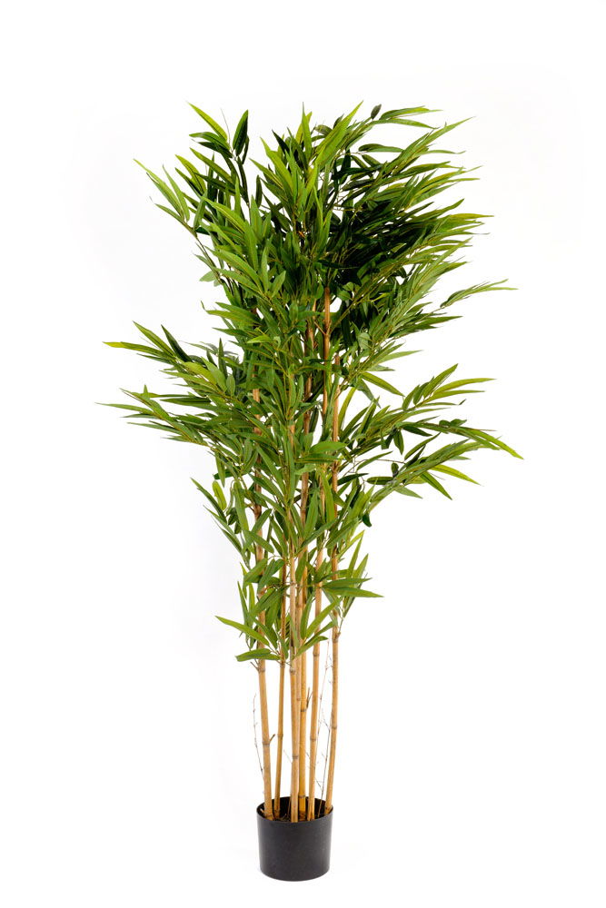 Fauxliage' Realistic Artificial Bamboo Plant - 6ft