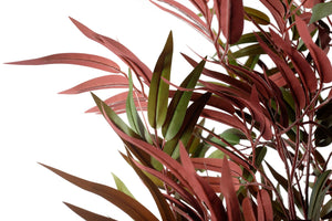 Fauxliage' X Large Realistic Red Bamboo Tree - 180cm