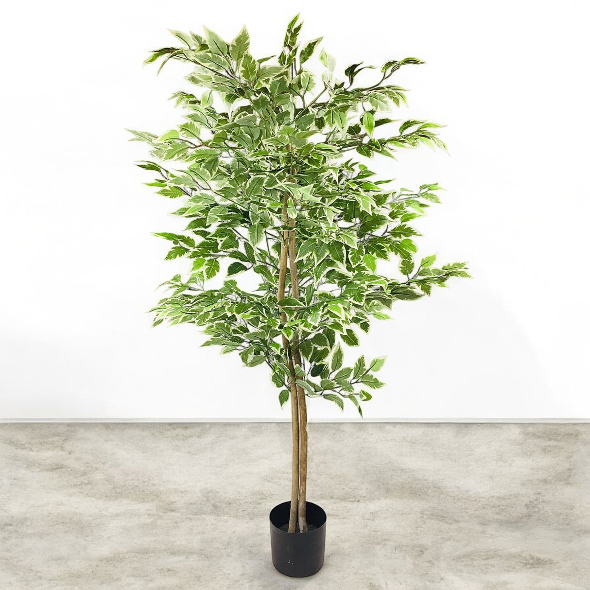 Fauxliage' Large Artificial Ficus Tree With Variegated Leaves - 150cm