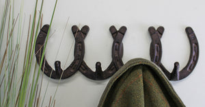 Horseshoe Cast Iron Wall Hooks