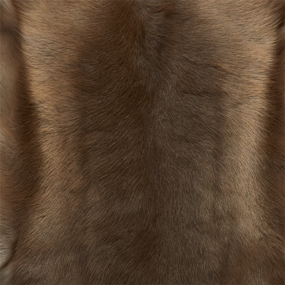 Dark Brown Reindeer Hide
