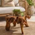 A rustic natural wood root-leg coffee table styled in a sunlit living room setting, holding a small potted green plant and a glass of limeade on a woven rug.