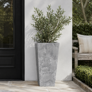 A tall grey outdoor planter against a white wall in an outdoor setting beside a black front door 