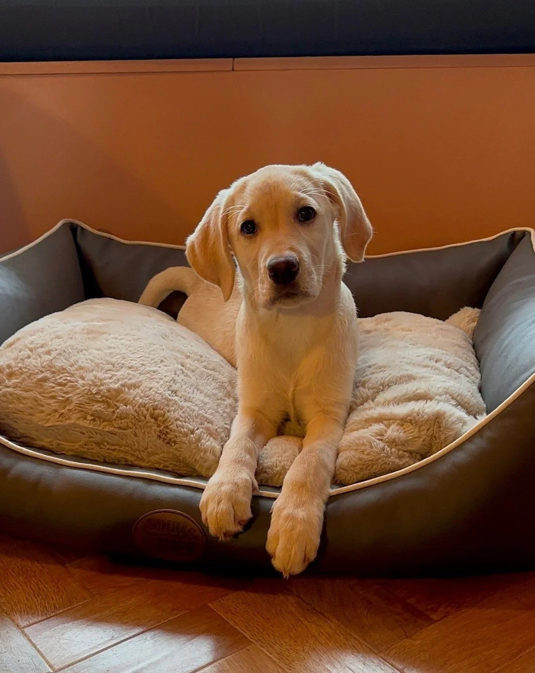 Tuscany Dog Bed Slate