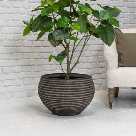 A potted houseplant with large green leaves in a dark ribbed round planter, placed indoors against a white brick wall with part of a light upholstered chair visible on the right.