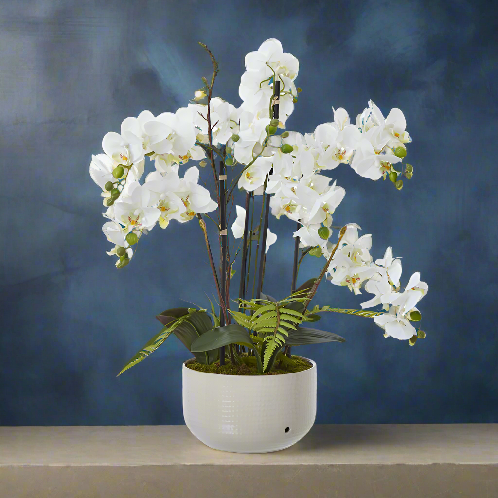 Large White Orchid In Ceramic Pot