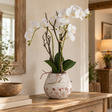 White Orchid In Stone Pot on a wooden chest of drawers, beside a rustic wooden mirror and a carved bowl