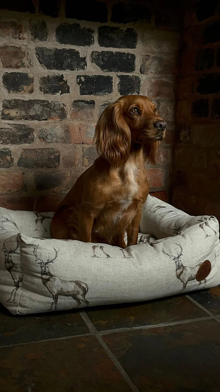 Moorland Stag Fleece Lined Dog Bed