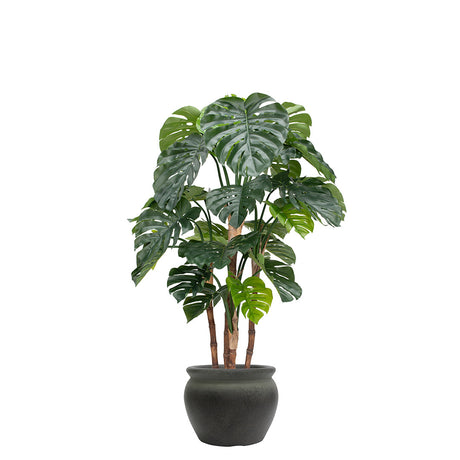 Artificial monstera tree in a black planter on a white background