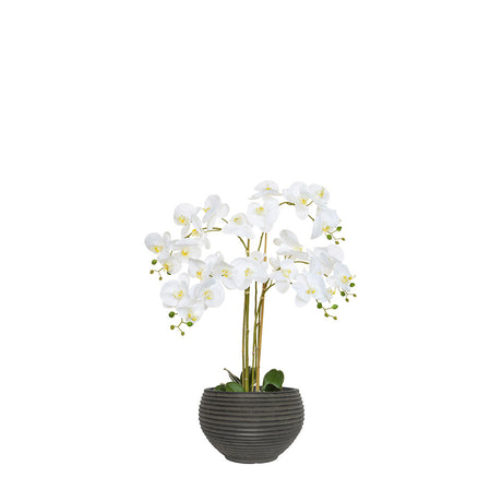 Artificial white orchid in a grey pot on a white background