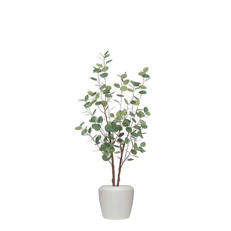 Artificial eucalyptus plant in a white pot on a white background