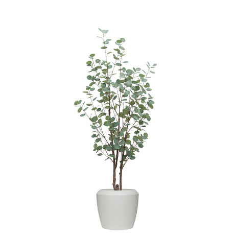 Potted plant with green leaves in a white pot on a white background
