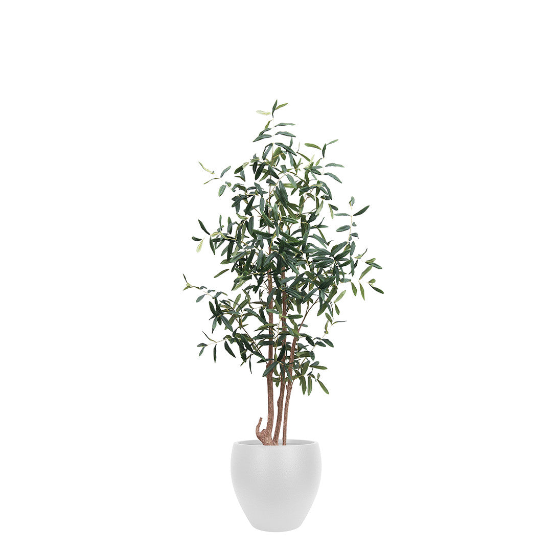 Artificial Olive Tree with Round White Planter