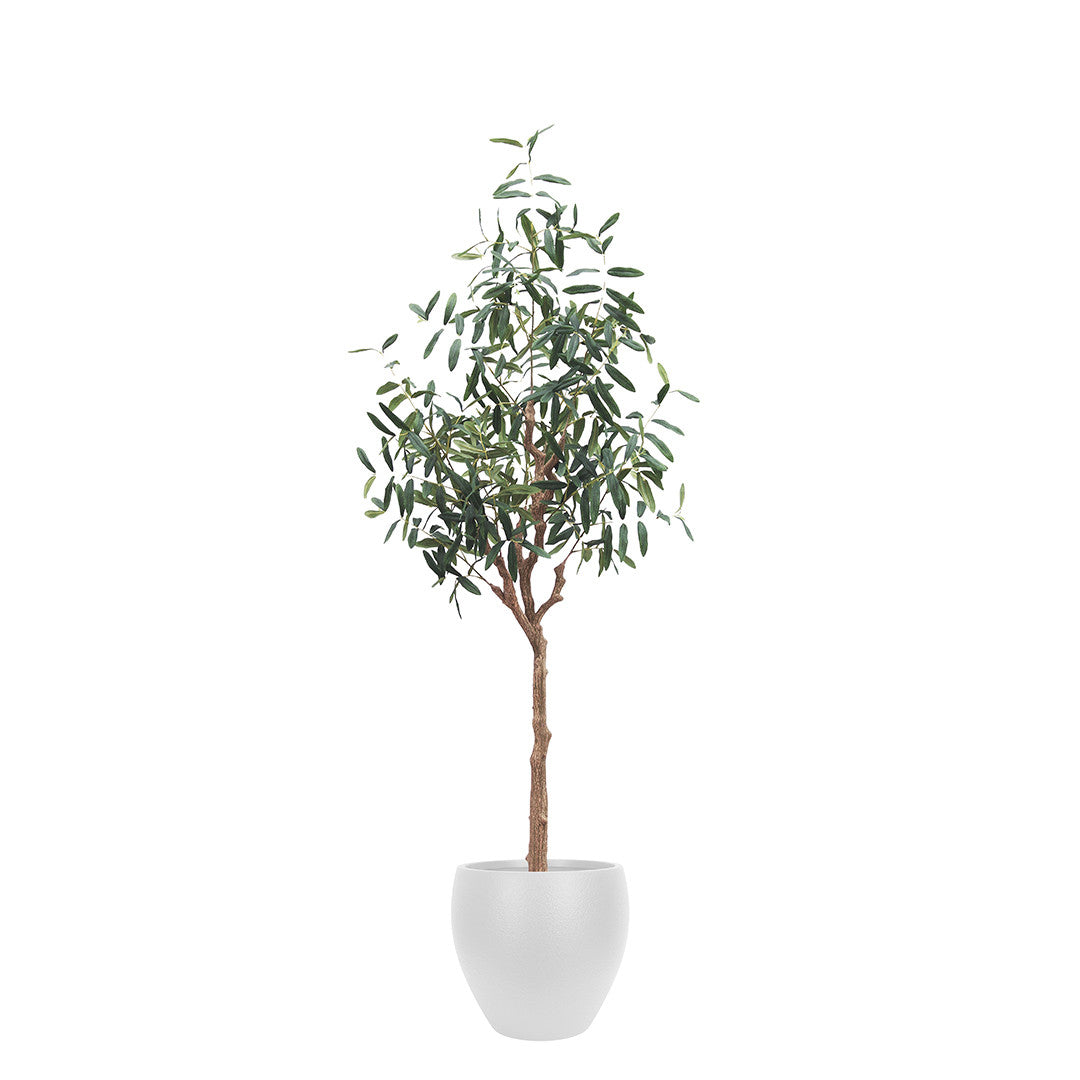 Artificial Olive Tree with Round White Planter