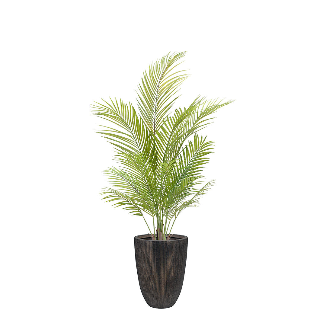 Artificial areca palm with green leaves in a dark pot on a white background