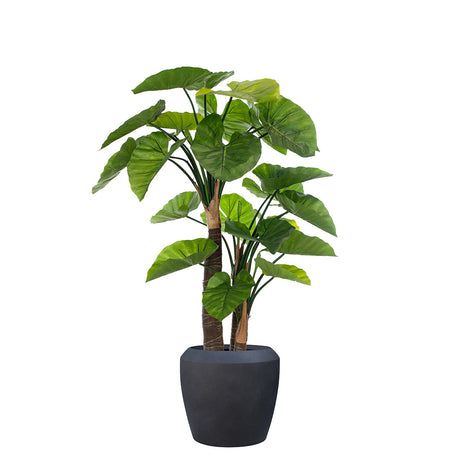 Artificial Alocasia tree in black planter on a white background